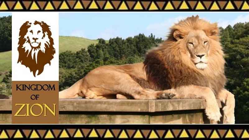 Visit the amazing Kingdom of Zion Wildlife Park, home to 33 magnificent big cats including lions, tigers, leopards and cheetahs and the setting for the world famous documentary series The Lion man. Join the experienced team on this incredible guided tour to meet these extremely rare and endangered cats.