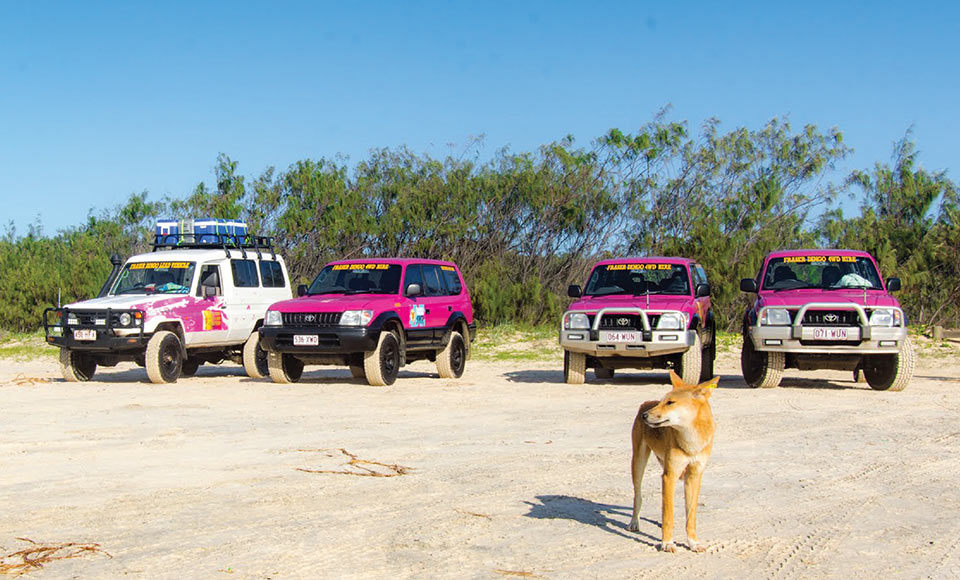 Join a group of young like-minded travellers on a Fraser Dingo Tagalong Tour and be part of a unique and unforgettable PINK 4WD adventure on Fraser Island! We stay at a private beach house on K'Gari's eastern beaches.