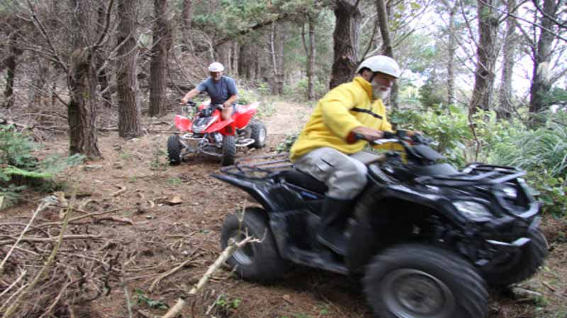 Guided Quad Bike Expedition - Epic deals and last minute discounts