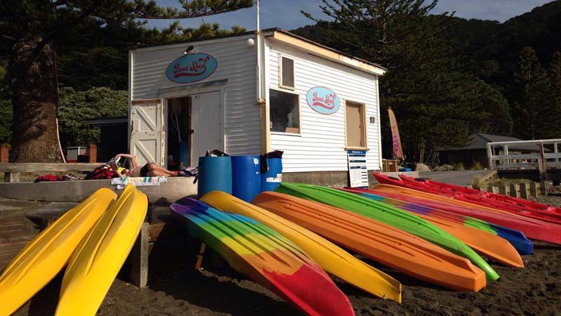 the boatshed - days bay i 1 hour kayak hire - epic deals