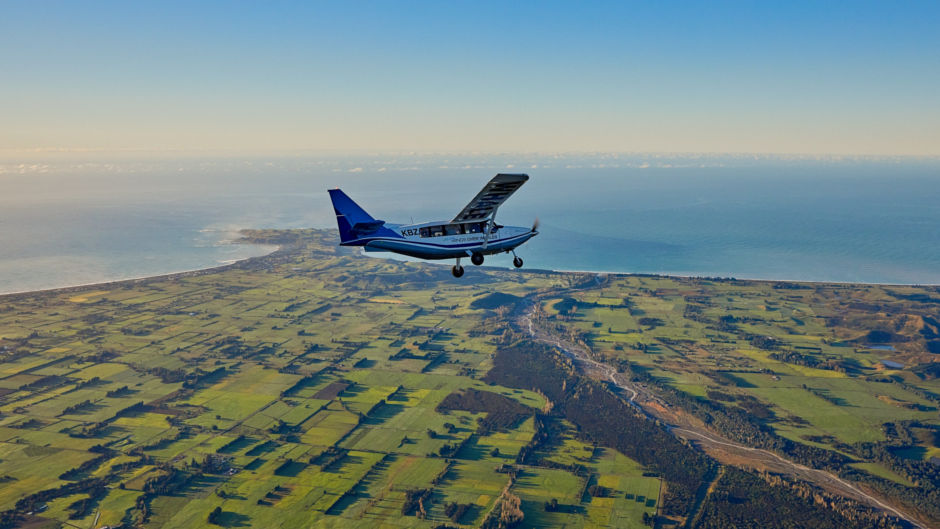 Kaikoura Whale Watching Flight Wings Over Whales Bookme