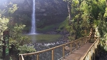 Trail Bike Hire & Transport - Bridal Veil Falls or Te Toto Gorge - Raglan Watersports