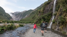 Franz Josef Glacier Valley Eco Tour 