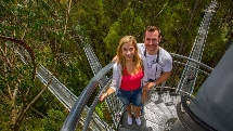 Treetop Walk - Otway Fly Treetop Adventures - Adults at Kids Deals